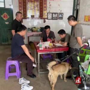 江华涛圩镇：纪委走村入户 助推墟落振兴