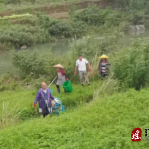 江华涛圩镇：河道保洁不绝歇 美丽西河焕新颜