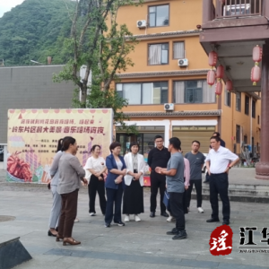 姚如男到江华调研引导民政事情