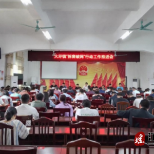 江华大圩镇：拆窗破网 打通生命通道