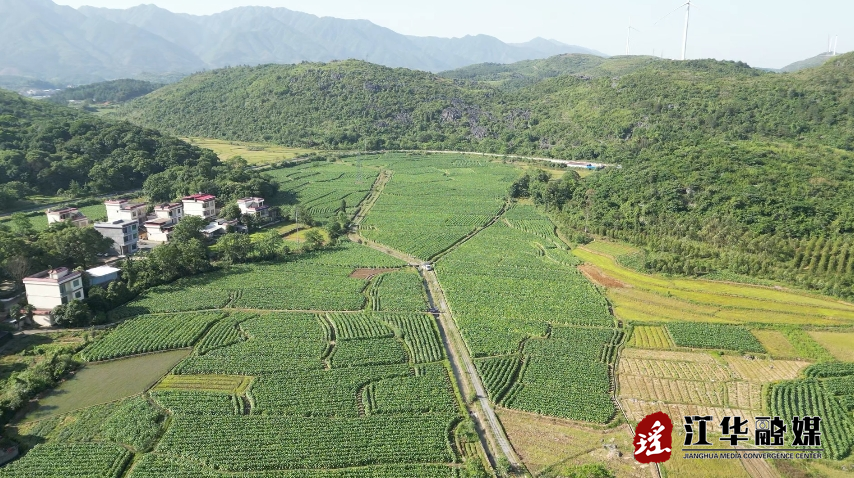 微信截图_20240515091320.png