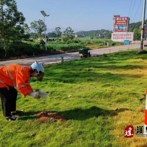 江华公路建设养护中心：灭杀红火蚁 保群众安全