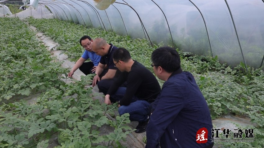 微信截图_20240514092956.png