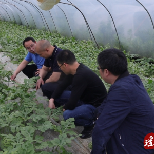 江华残联：为残疾人创业就业巧开"致富方”