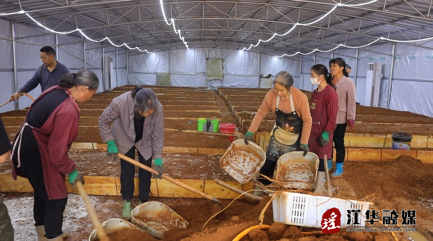 微信截图_20240514093034.png