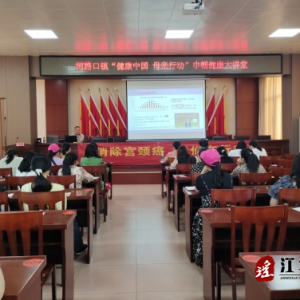 江华河路口镇：开展“健康中国 母亲行动”暨“两癌”防控知识科普宣传讲座