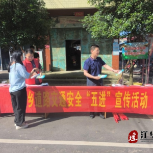 江华桥市乡：开展道路交通安全“五进”宣传活动