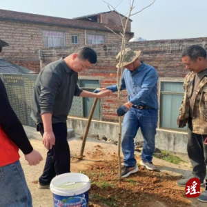 江华大圩镇：人大代表开展植树护绿活动