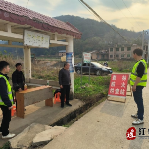 江华大圩镇：打好措施“组合拳”筑牢森林“防火墙”