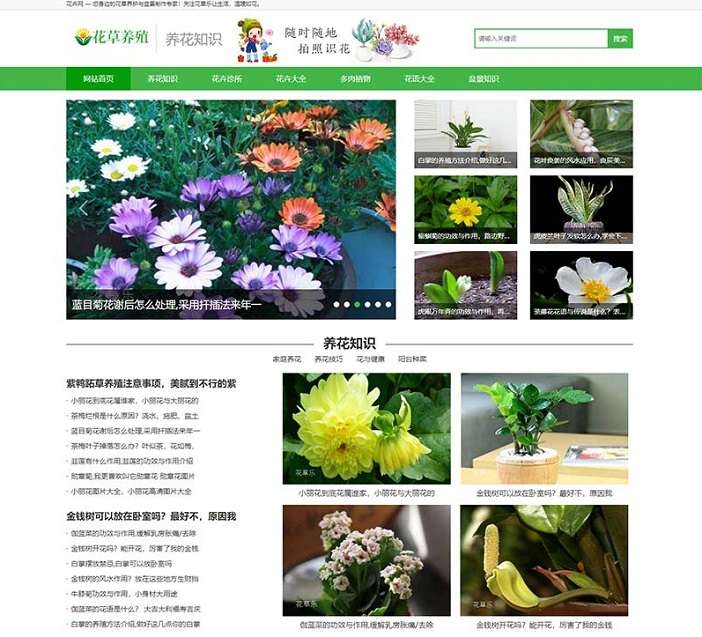 花卉养殖新闻资讯类pbootcms模板(PC+WAP) 绿色花草植物网站源码-淘惠啦资源网