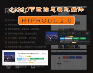 wordpress【日主题美化】Ripro主题下载信息美化插件Riprodl2.0-淘惠啦资源网