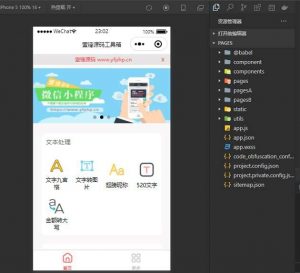 去水印趣味实用多功能小工具小程序源码去权版-淘惠啦资源网