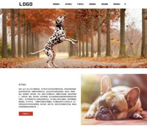 猫粮狗粮宠物粮食网站pbootcms模板(自适应手机) 宠物零食网站-淘惠啦资源网