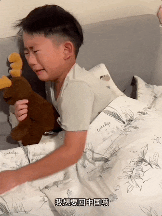 20241003213119325-9ad0c3abf8c007a32e6542bb86275841_640_wx_fmt=gif&wxfrom=5&wx_lazy=1&tp=webp