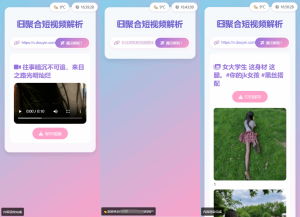 全新二次元聚合短视频解析去水印系统源码 自适应双端-淘惠啦资源网